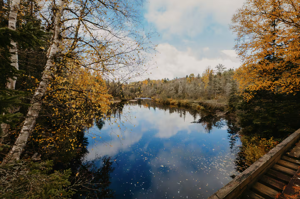 Peshekee Grade River flowing through the property